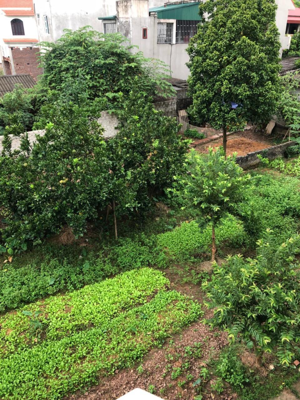 Tam Coc - Thanh Homestay Ninh Binh Zewnętrze zdjęcie